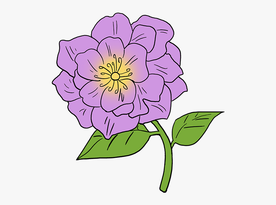 Clip Art How To Draw Peonies - Peony Flower Drawing Easy, Transparent Clipart