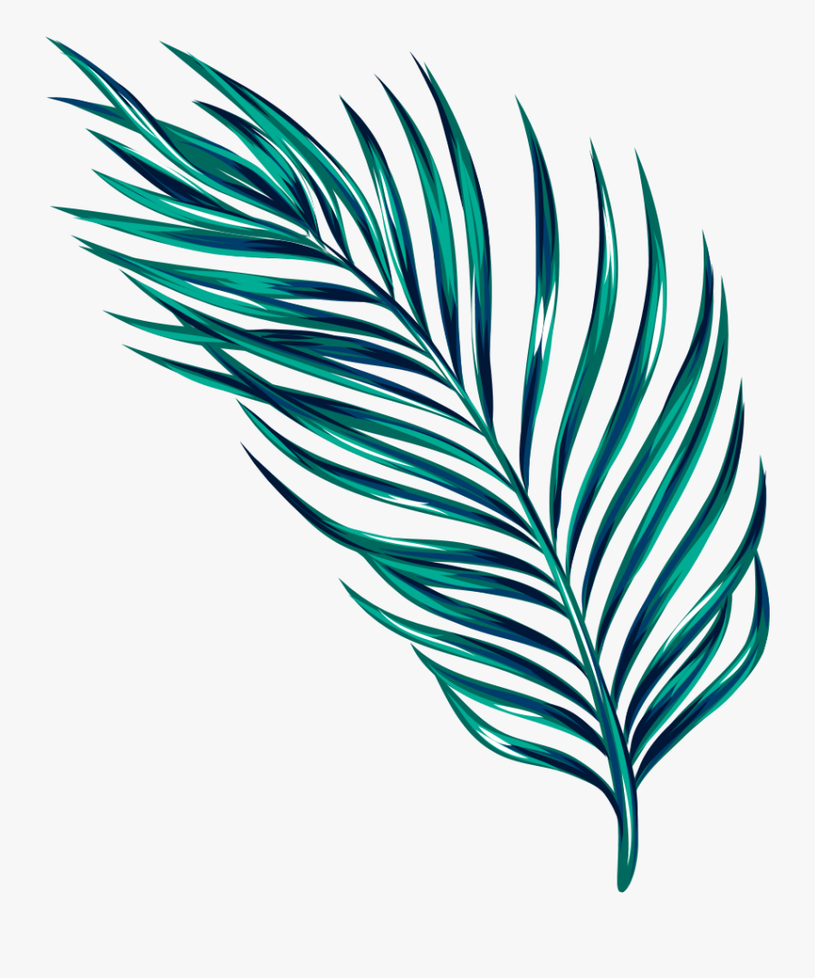 A, Transparent Clipart