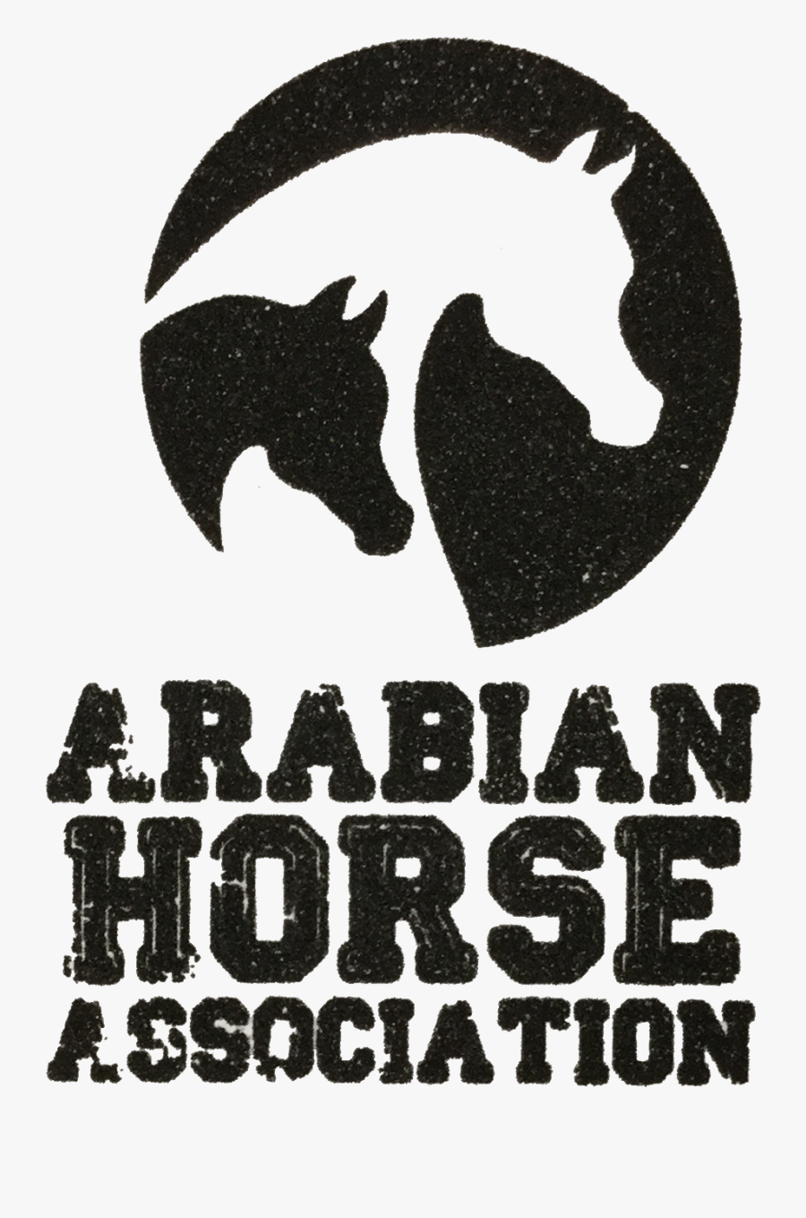 Arabian Horse Association, Transparent Clipart