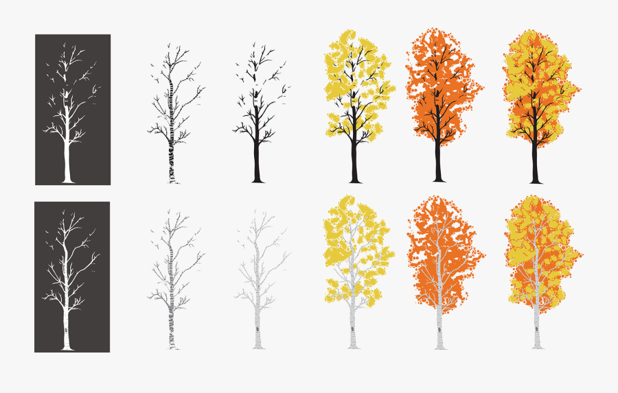 Autumn, Transparent Clipart