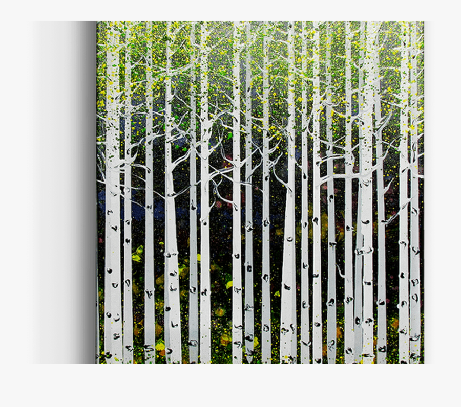 Summer Aspen Trees Box Art Xi Aspens Old Wood Signs - Fence, Transparent Clipart