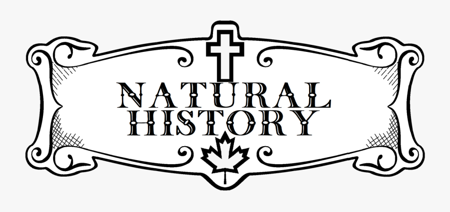 Picture - Colorado, Transparent Clipart