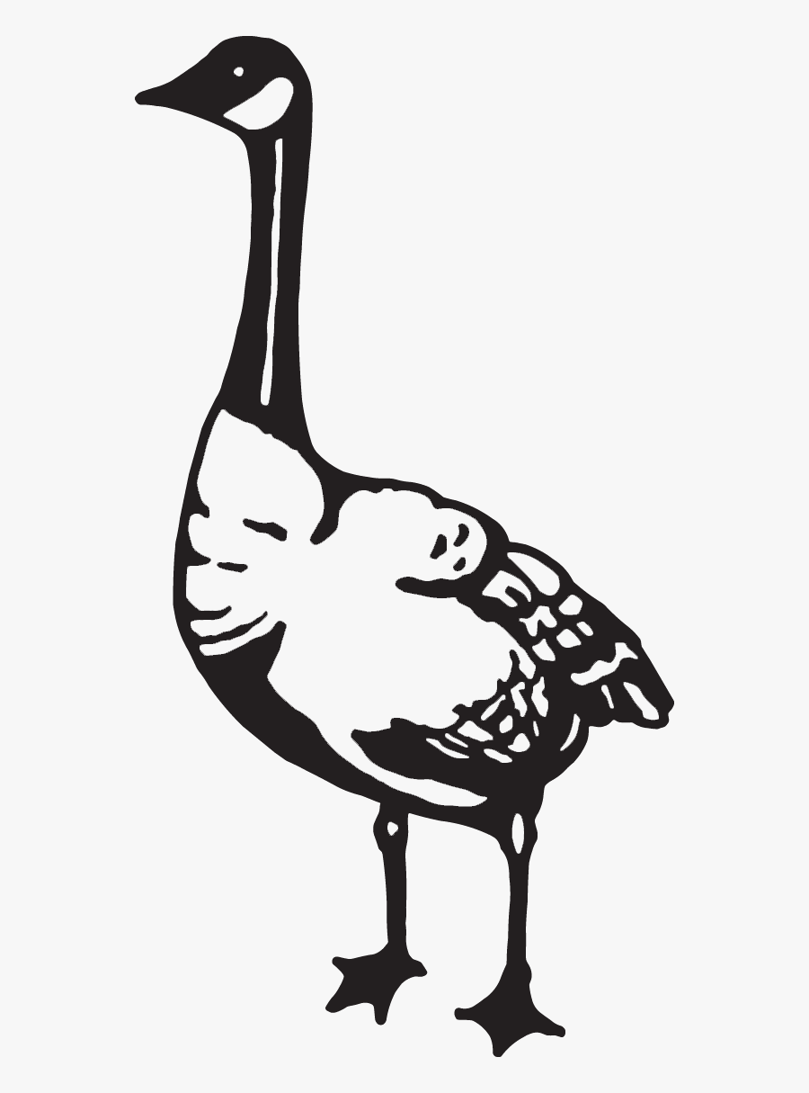 Canada Goose Clipart Black And White, Transparent Clipart