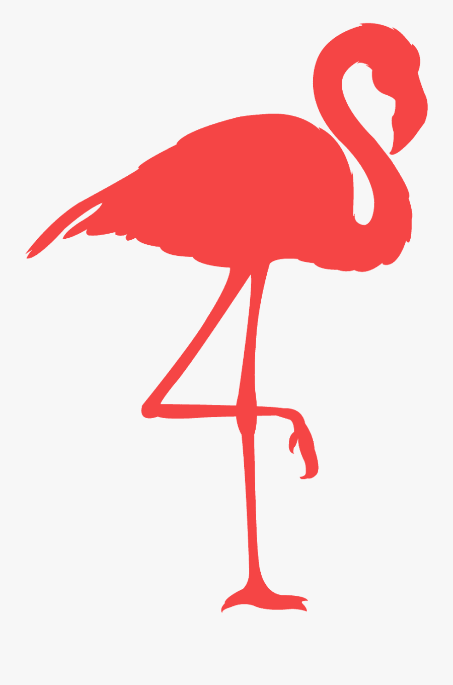 Transparent Flamingo Clipart, Transparent Clipart