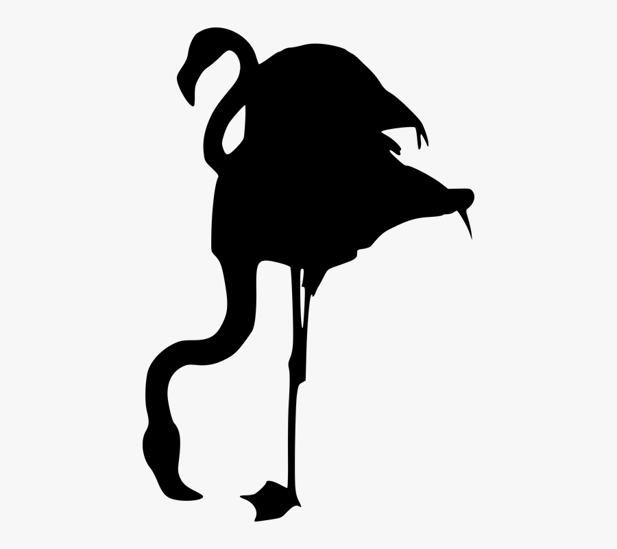 Flamingo, Silhouette, Animal, Bird, Boredom, Decoration - Illustration, Transparent Clipart