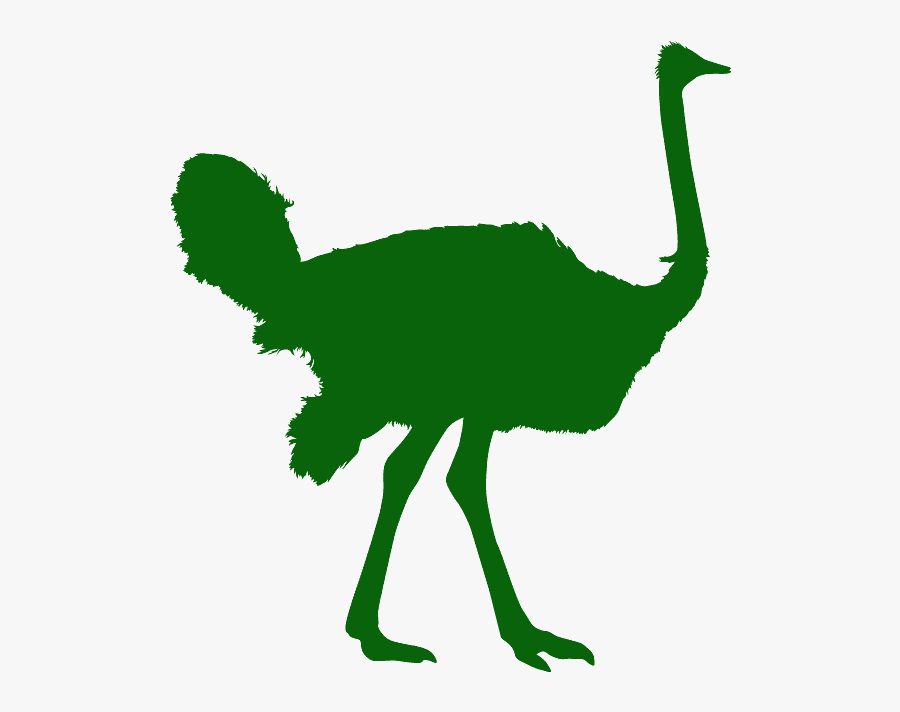 Ostrich Silhouette, Transparent Clipart