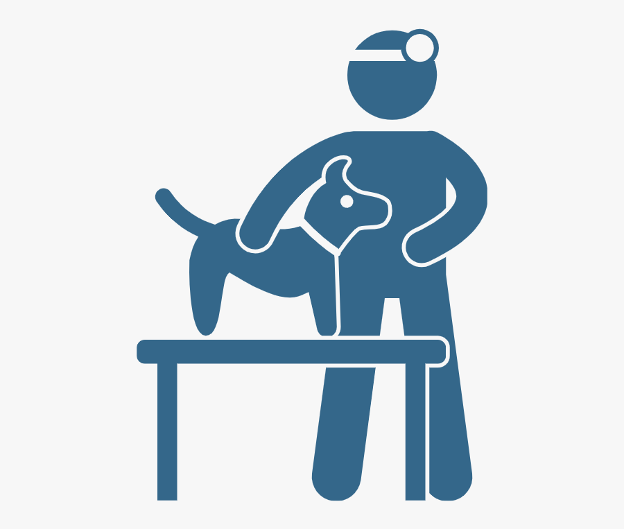 Veterinary Technician School Programs And Jobs - Result For Veterinary Biard Exam 2019, Transparent Clipart