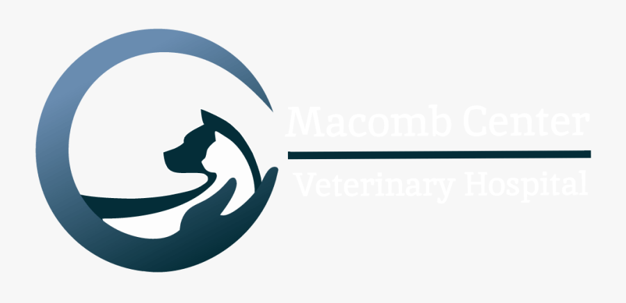 Circle, Transparent Clipart