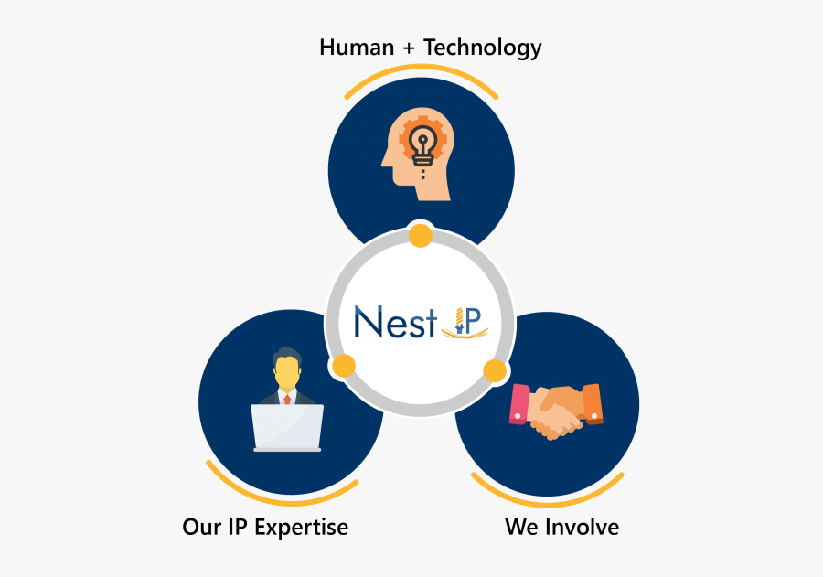 Circle, Transparent Clipart