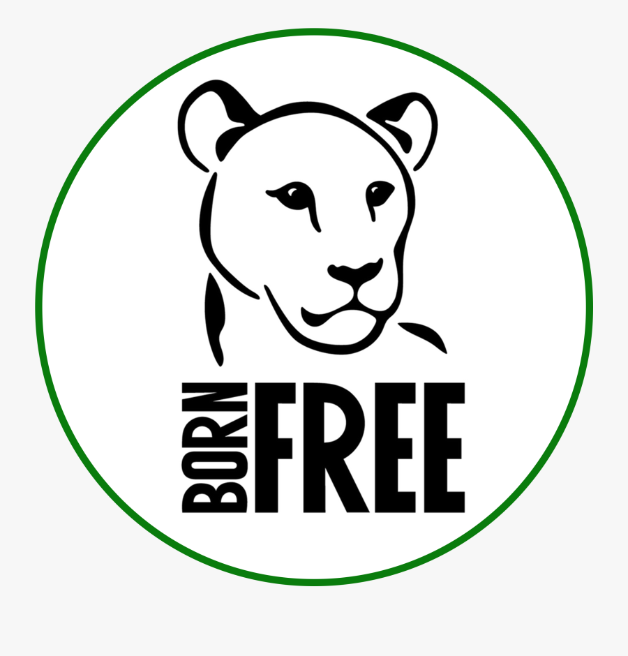 The Born Free Foundation - Cartoon, Transparent Clipart