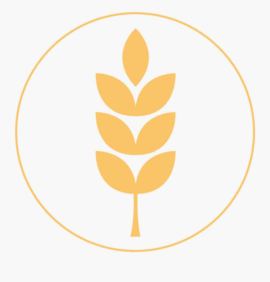 Vector Graphics, Transparent Clipart