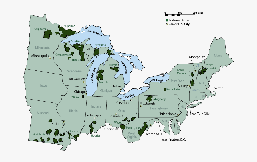 Map Clipart Forest Map - Atlas, Transparent Clipart
