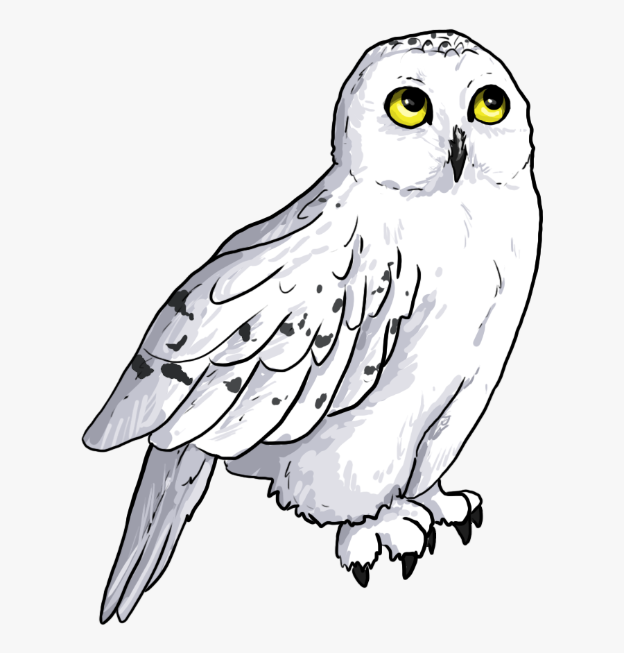 Hedwig Png, Transparent Clipart