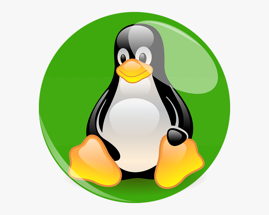 Penguin Cartoon Character - Penguin Software, Transparent Clipart