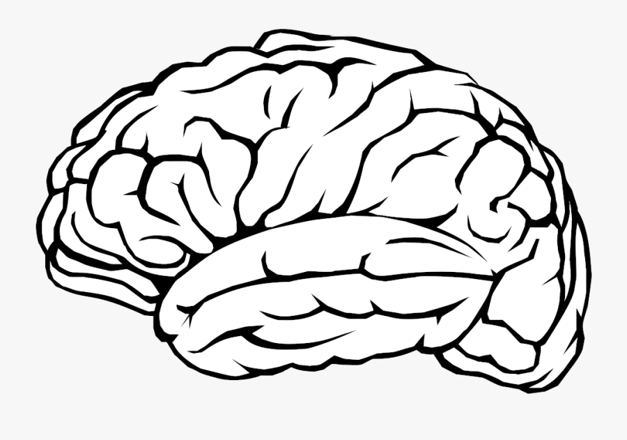 Brain Labels Clip Art Profile Line Transparent Png - Transparent Background Brain Clipart, Transparent Clipart