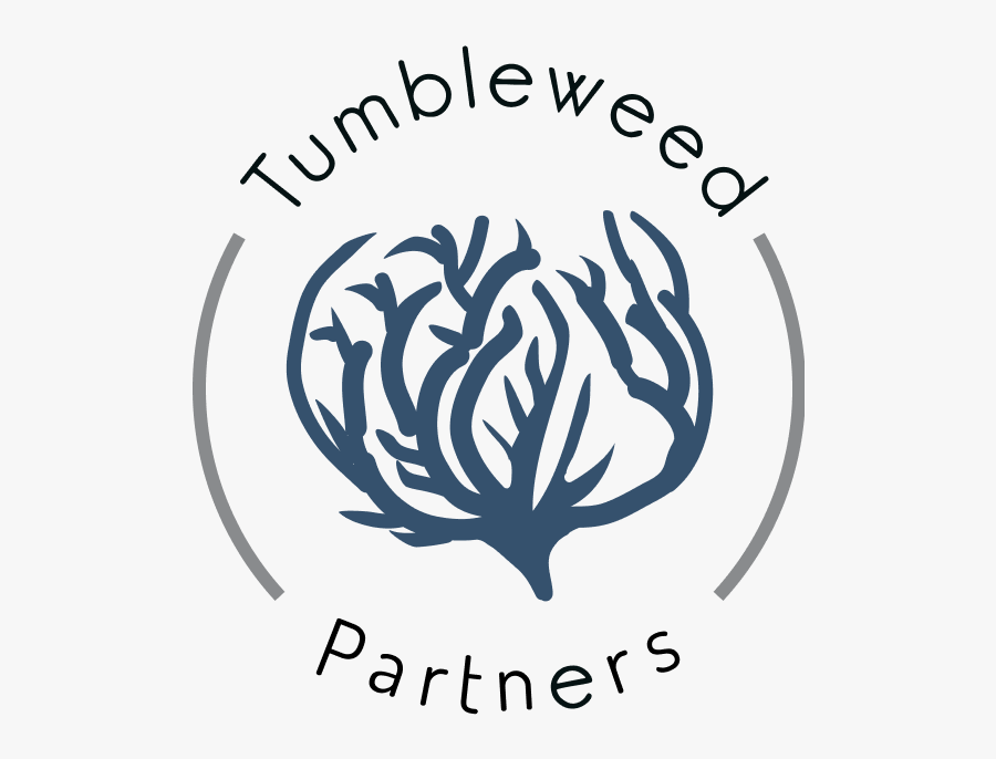 Tumbleweed - Illustration - Illustration, Transparent Clipart