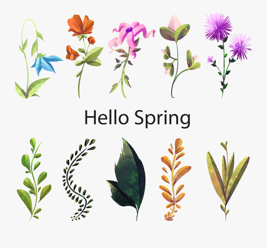 Dandelion Clipart Watercolor - Watercolor Flowers And Plants, Transparent Clipart