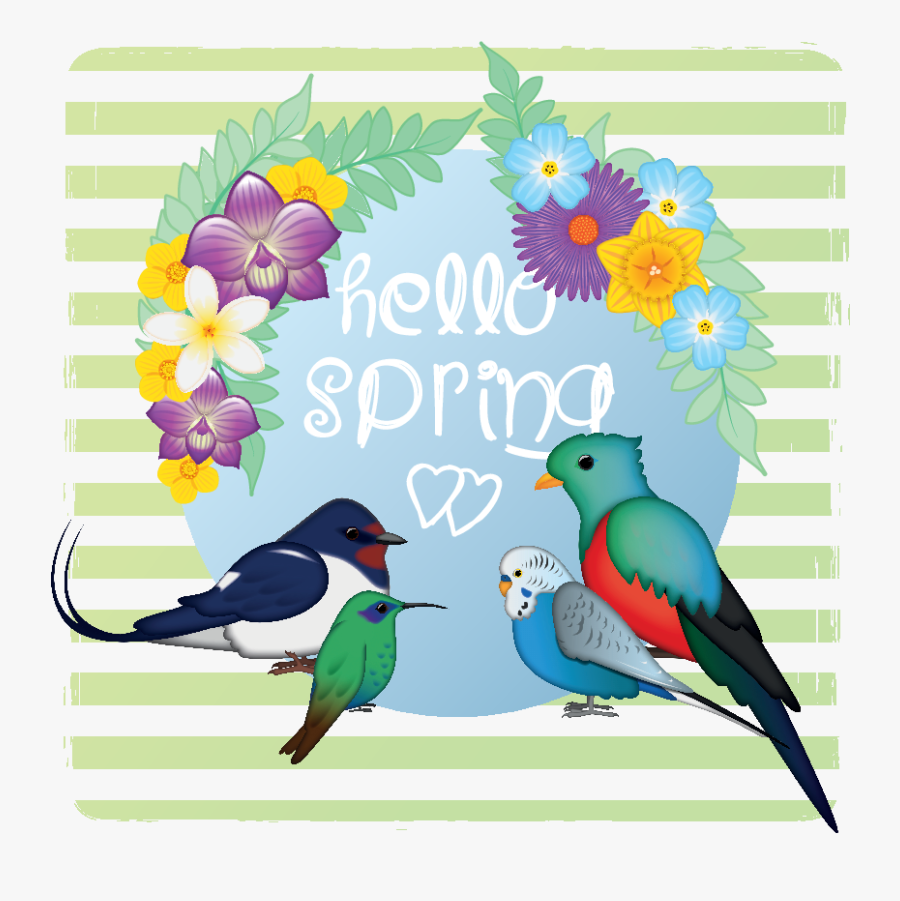 Swallow, Transparent Clipart