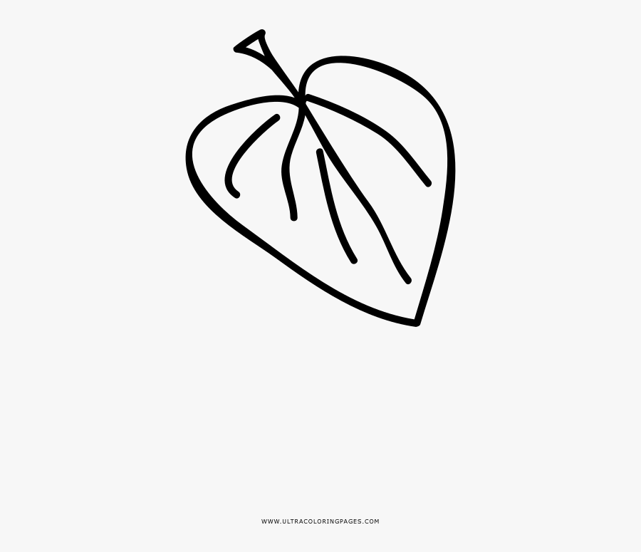 Tea Leaf Coloring Page, Transparent Clipart