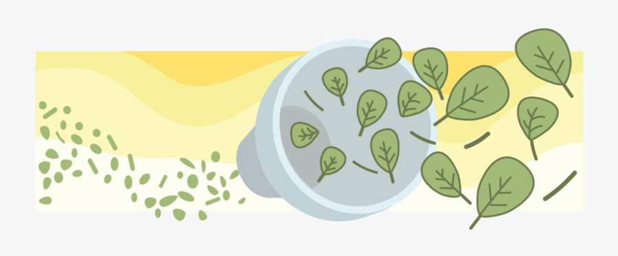 Ceremonial Matcha Green Tea Process - Illustration, Transparent Clipart