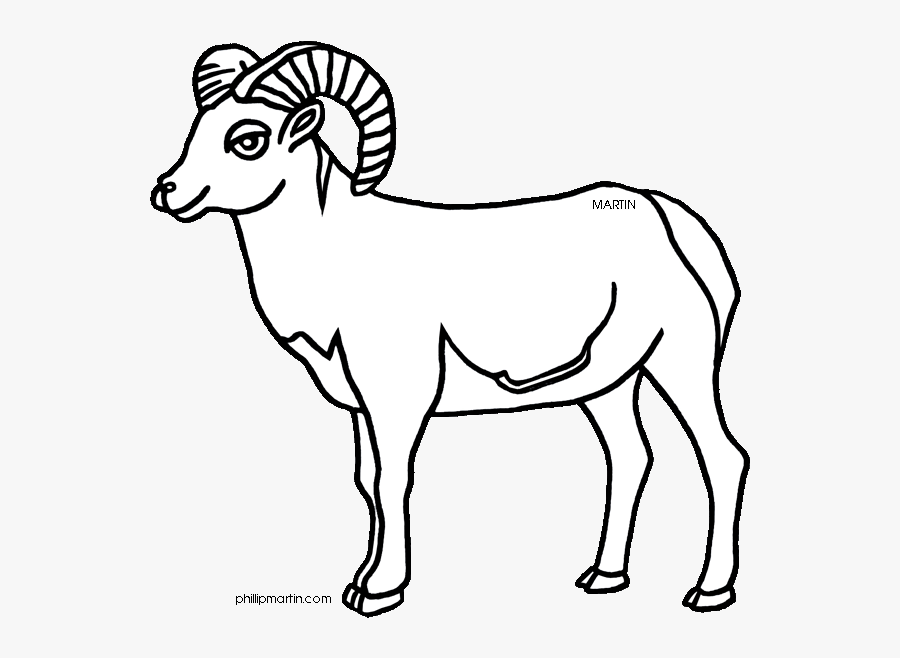 Big Horn Clipart Clipground Cow Clip Art Dog Clip Art - Desert Bighorn Sheep Drawing, Transparent Clipart