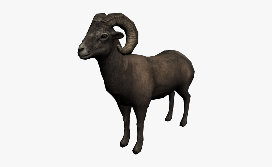 Clip Art Red Dead Wiki Fandom - Big Horn Sheep Transparent, Transparent Clipart