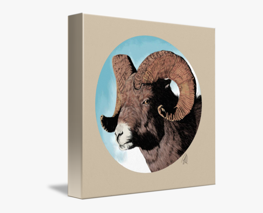 Clip Art Bighorn Sheep Photos - Horn, Transparent Clipart