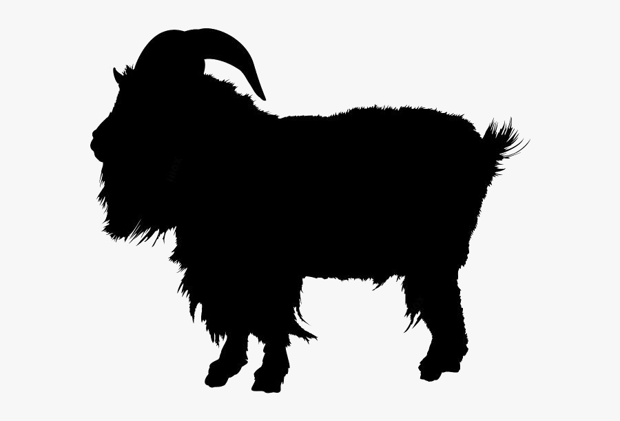 Sheep Png Transparent Images - Mountain Goat Png, Transparent Clipart