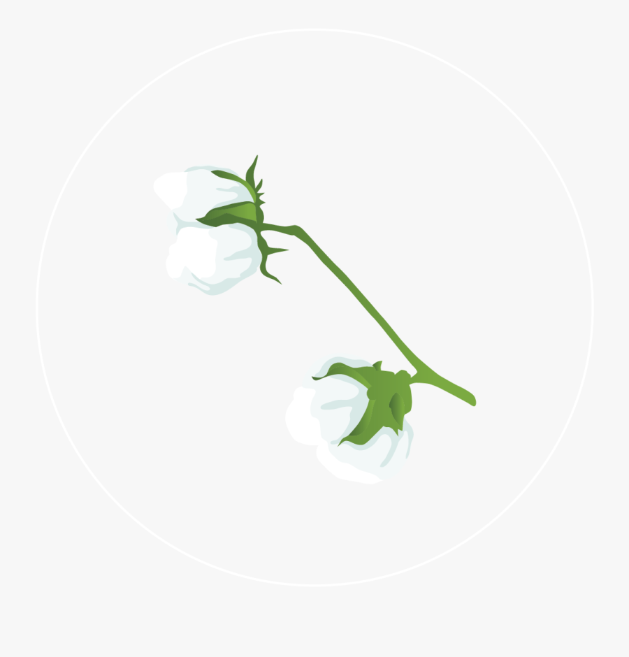 Cotton Value Chain Comprehensive Agriculture And Rural - Illustration, Transparent Clipart