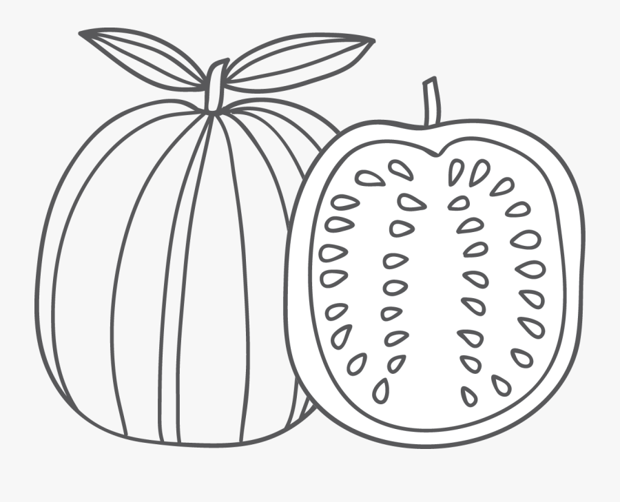 Line Art, Transparent Clipart