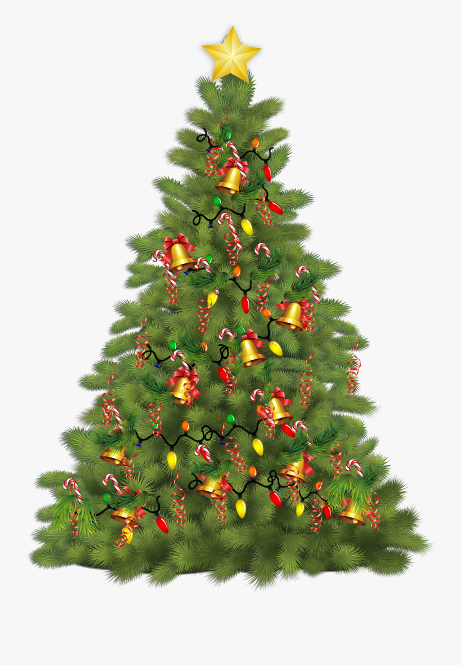 Christmas Tree, Transparent Clipart