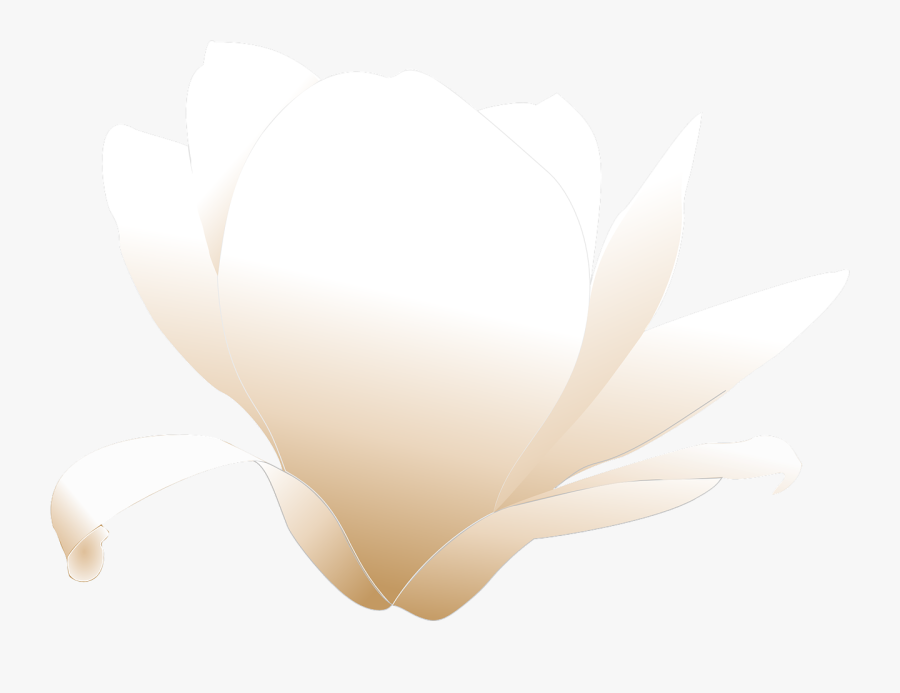 Transparent Black And White Flower Png - Magnolia Clip Art, Transparent Clipart