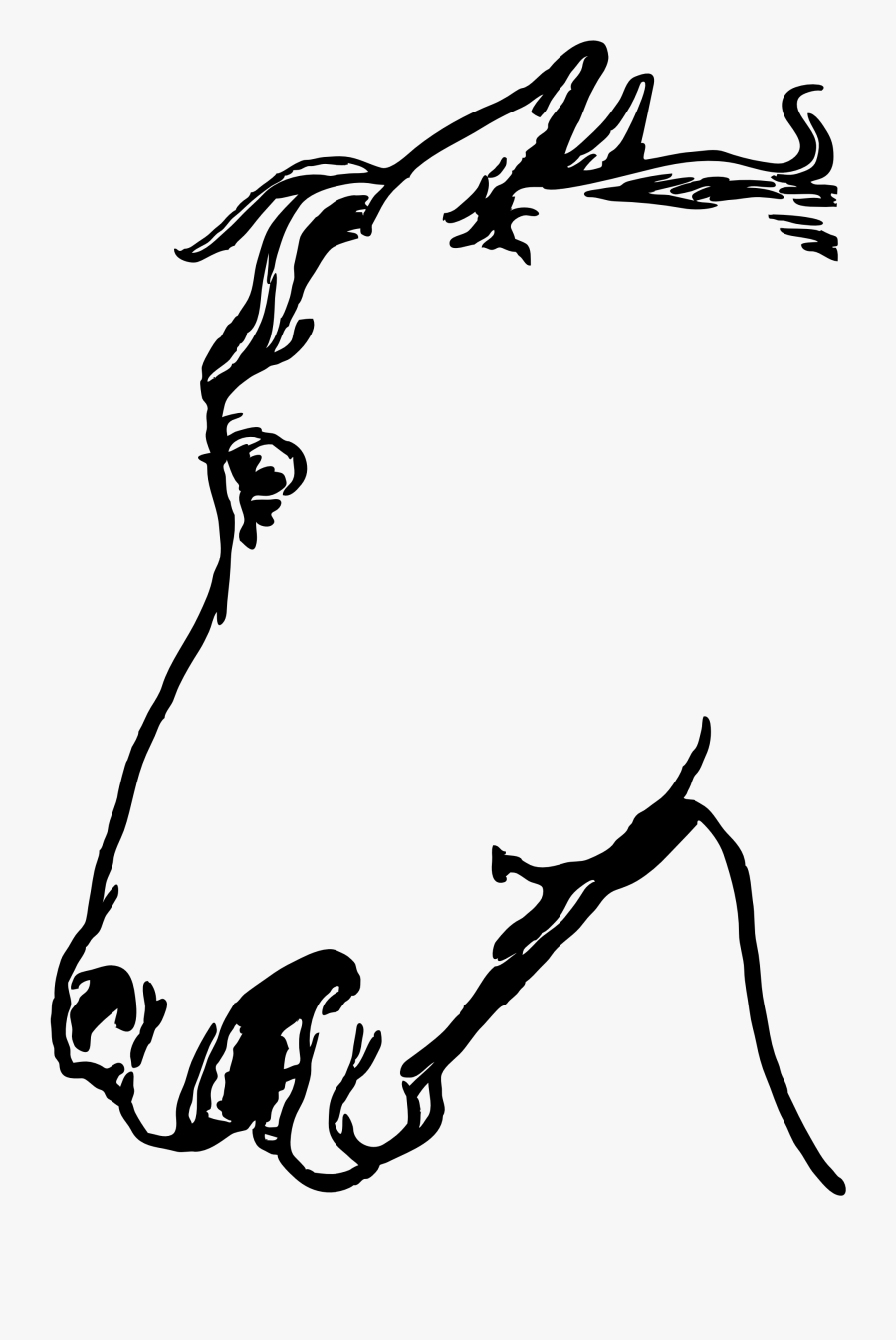 Horsehead Gambar Sketsa Kepala Kuda