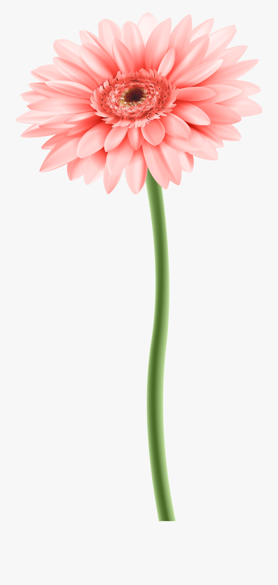 Gerber Png Clip Art - Flower With Stem Png, Transparent Clipart