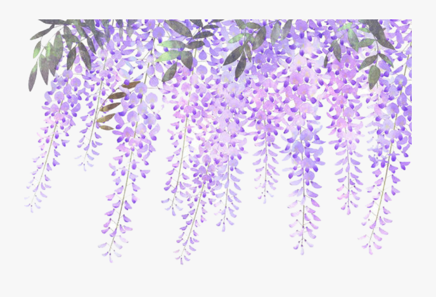 #ftestickers #flowers #border #lavender #wisteria - Border Lavender Flower Png, Transparent Clipart