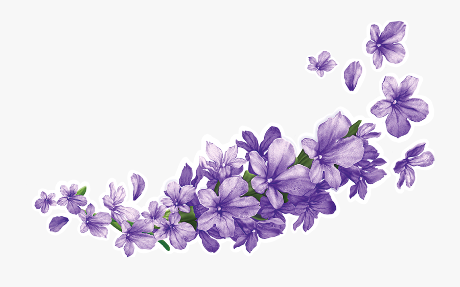 Watercolor Wisteria Transparent Background, Transparent Clipart