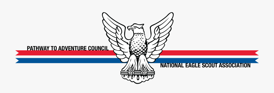 Eagle Scout Eagle, Transparent Clipart