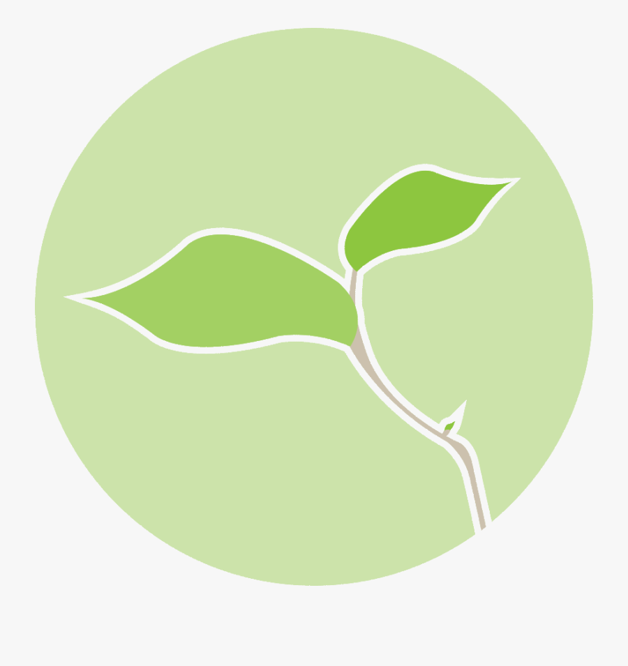 Ced 2014 19334 Mandala Final - 丸 に 抱き 茗荷, Transparent Clipart