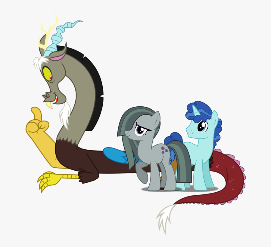 My Little Pony Friendship Is Magic Roleplay Wikia - Mlp Discord Side View, Transparent Clipart