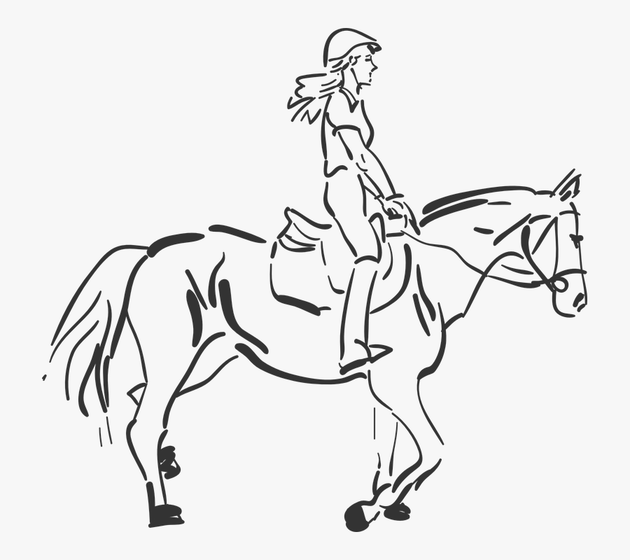 Horse, Riding, Girl, Equestrian Sport, Woman, Sport - Girl Riding A Horse Drawing, Transparent Clipart