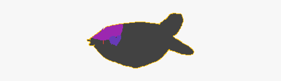 Sea Turtle, Transparent Clipart