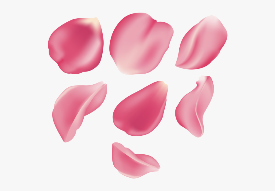 Clip Art Flower Petal Png - Pink Rose Petal Png, Transparent Clipart