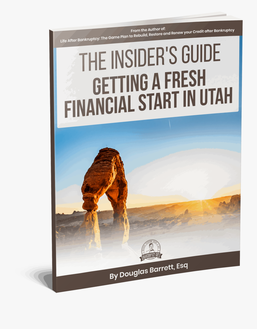 Stallion, Transparent Clipart