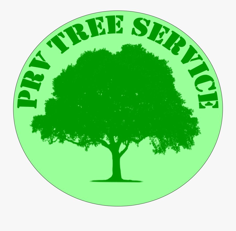 Roots Clipart Stump Grinding - Grove, Transparent Clipart