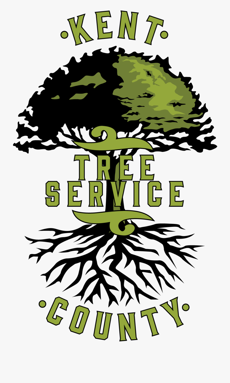 Picture - Illustration, Transparent Clipart