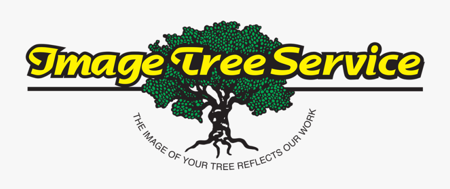 Tree, Transparent Clipart