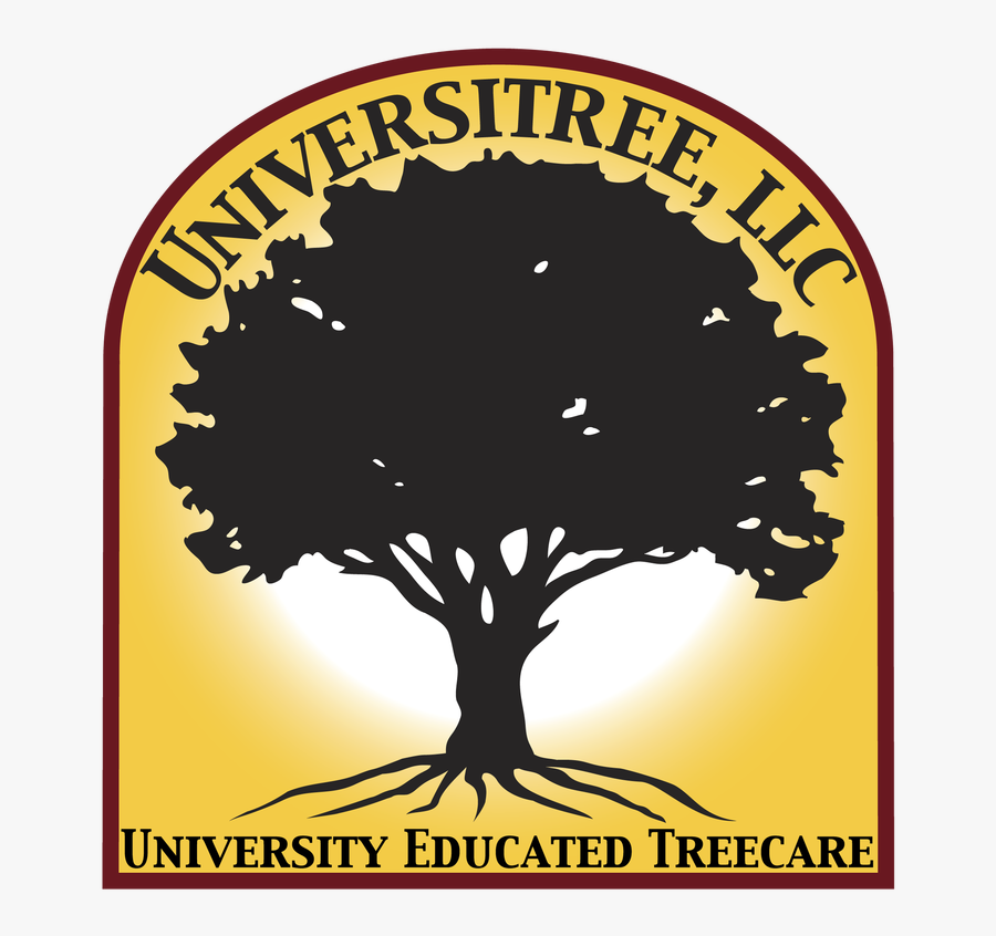 Picture - St Anthony College Calapan, Transparent Clipart