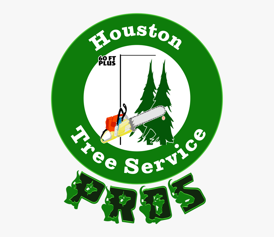 Picture - Illustration, Transparent Clipart