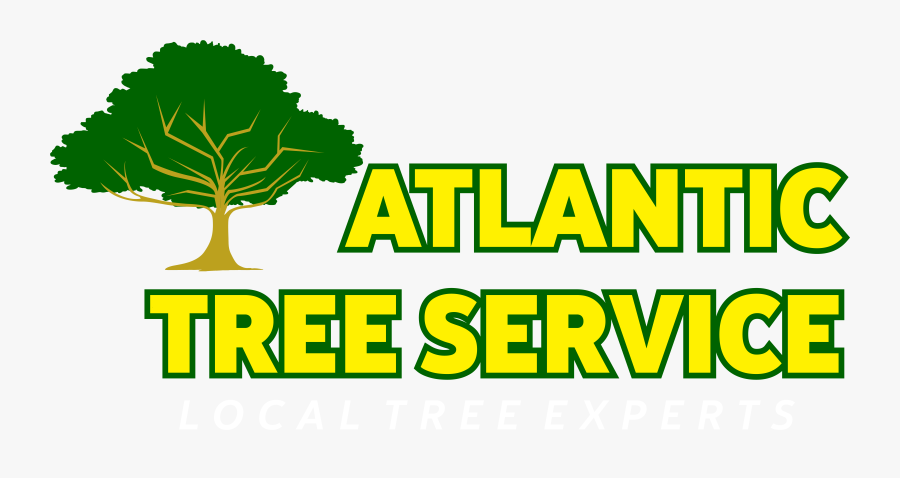 Tree, Transparent Clipart