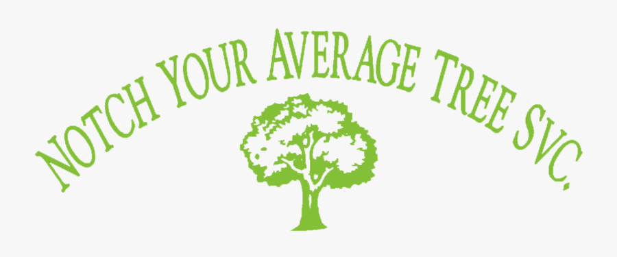 Notch Your Average Tree Service - Tree, Transparent Clipart